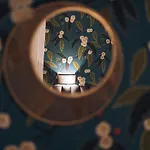 Mi